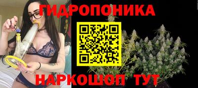 спиды Кимры