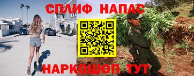спиды Кинель