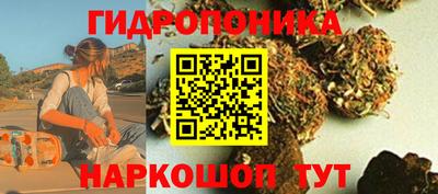 спиды Кинель