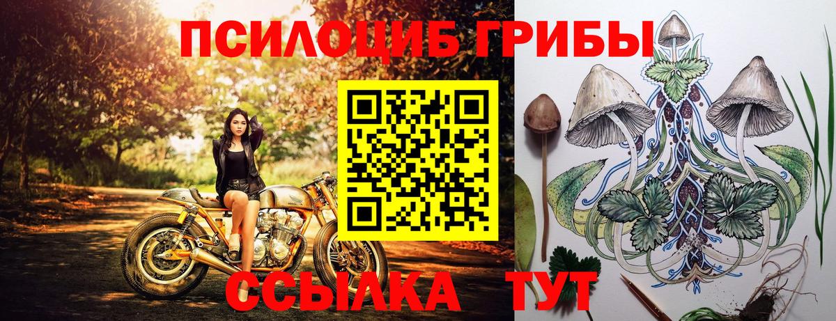 Псилоцибиновые грибы MAGIC MUSHROOMS  Вход с VPN  Галлюциногенные грибы MAGIC MUSHROOMS  Курчатов 